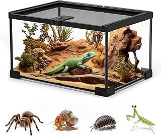 Reptile Glass Terrarium Tank