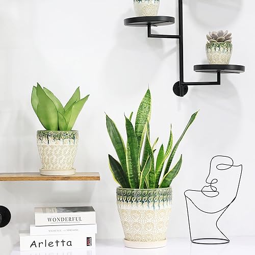 Miniatura 2 de YFFSRJDJ Macetas de cerámica para plantas de interior, maceta de 8 pulgadas + 6 pulgadas con agujeros de drenaje, platillos y almohadillas de malla,