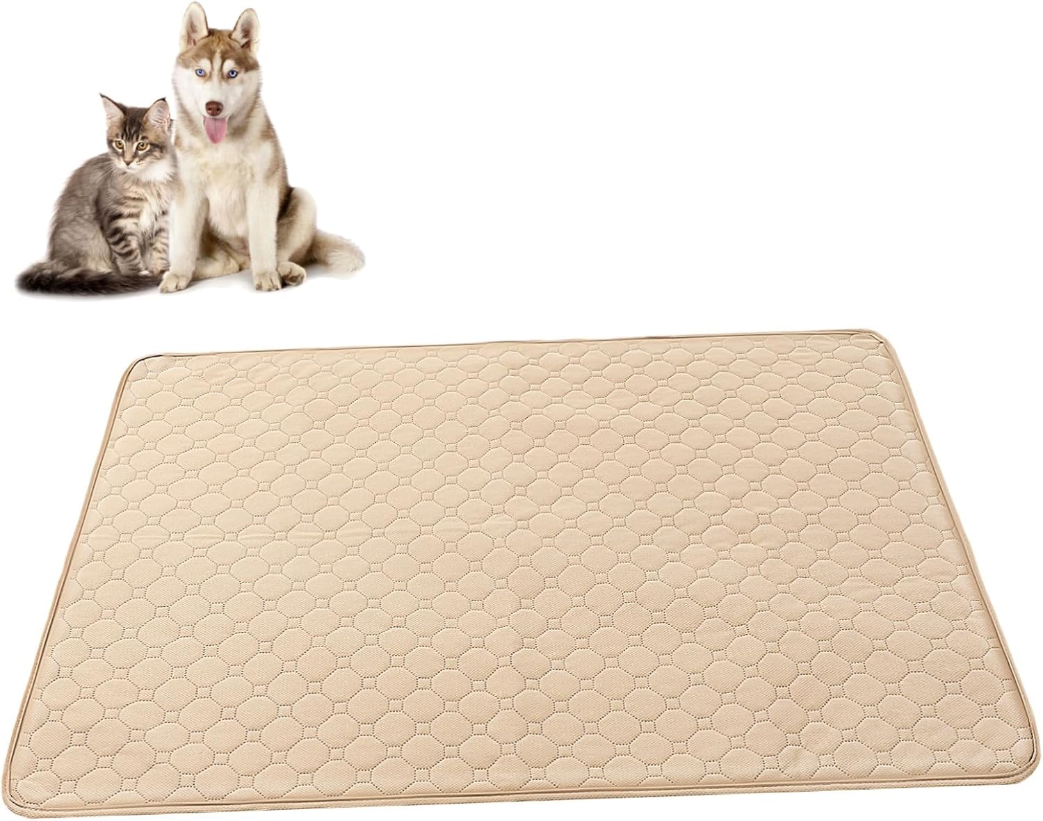 2pcs Dog Pee Pads Absorbent Training Mats for Dogs Cats Washable Pet Pee Blankets -Resistant Non- Base for Indoor Use and Potty Training