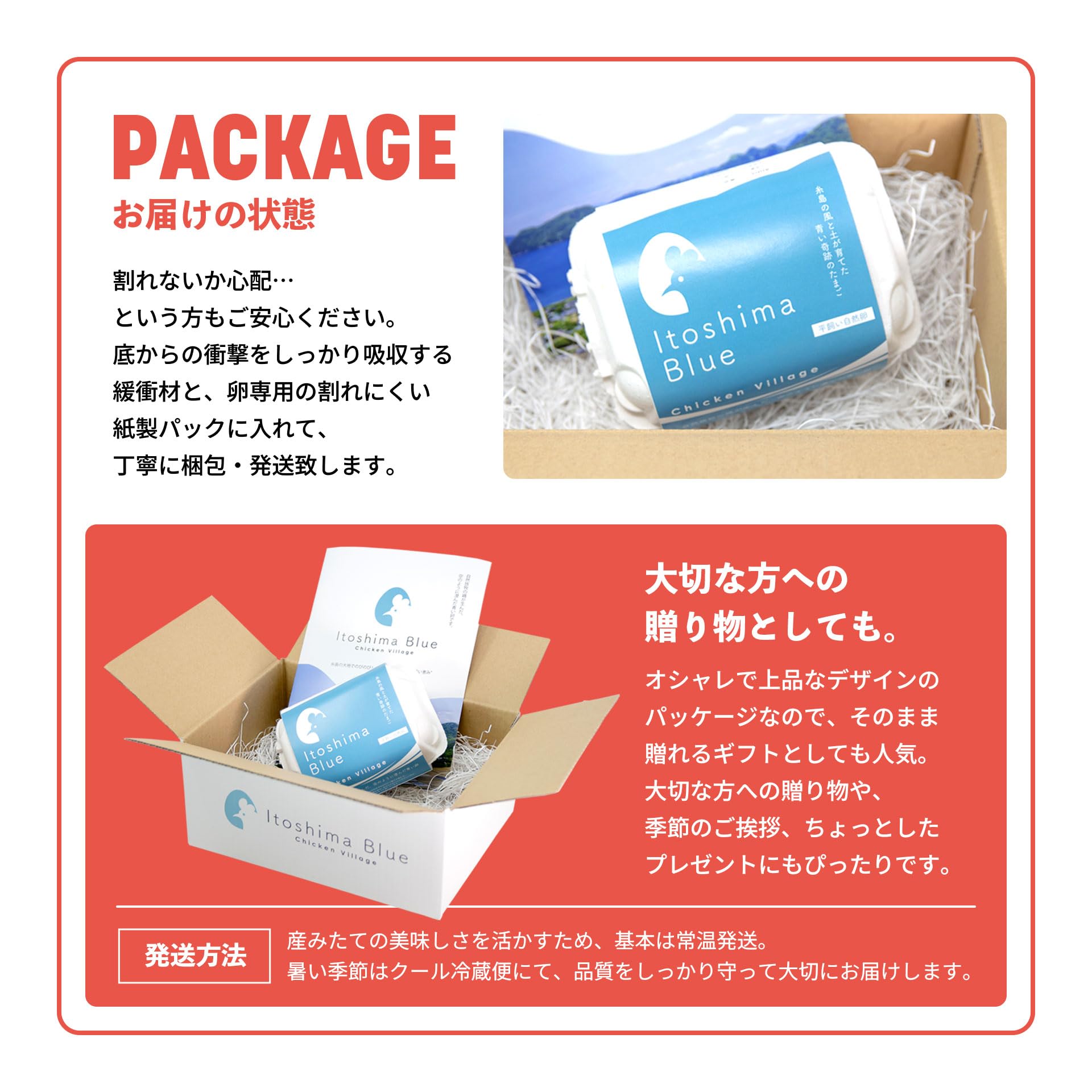 Amazon | Itoshima Blue (イトシマブルー) 青いたまご アローカナ種