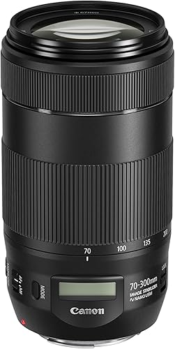 Miniatura 2 de Canon Lente EF 2756-11811in f4-56 IS II USM