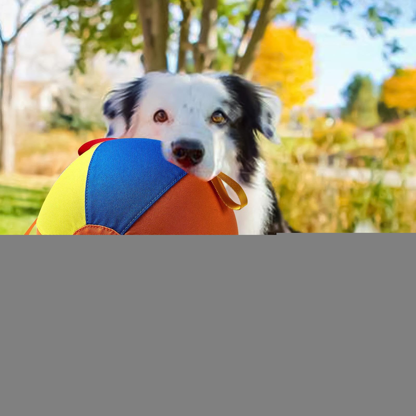 à Balles pour Chiens Animal Anti-morsures Exercices Portables Mâcheurs