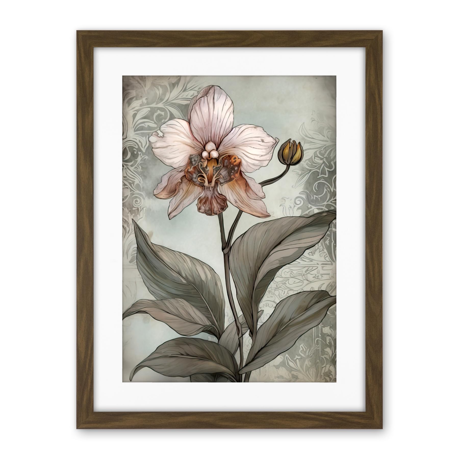 Artery8 Art Nouveau Pink Orchid Bloom Flower Watercolour Artwork Framed Wall Art Print 18X24 Inch