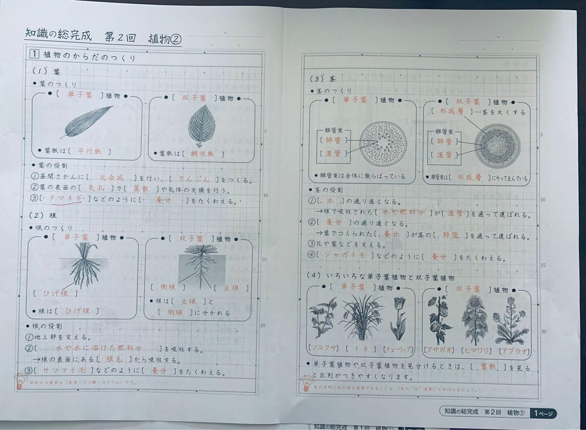 Amazon.co.jp: サピックス 理科 知識の総完成 第 1回 第2回 第3回 b4