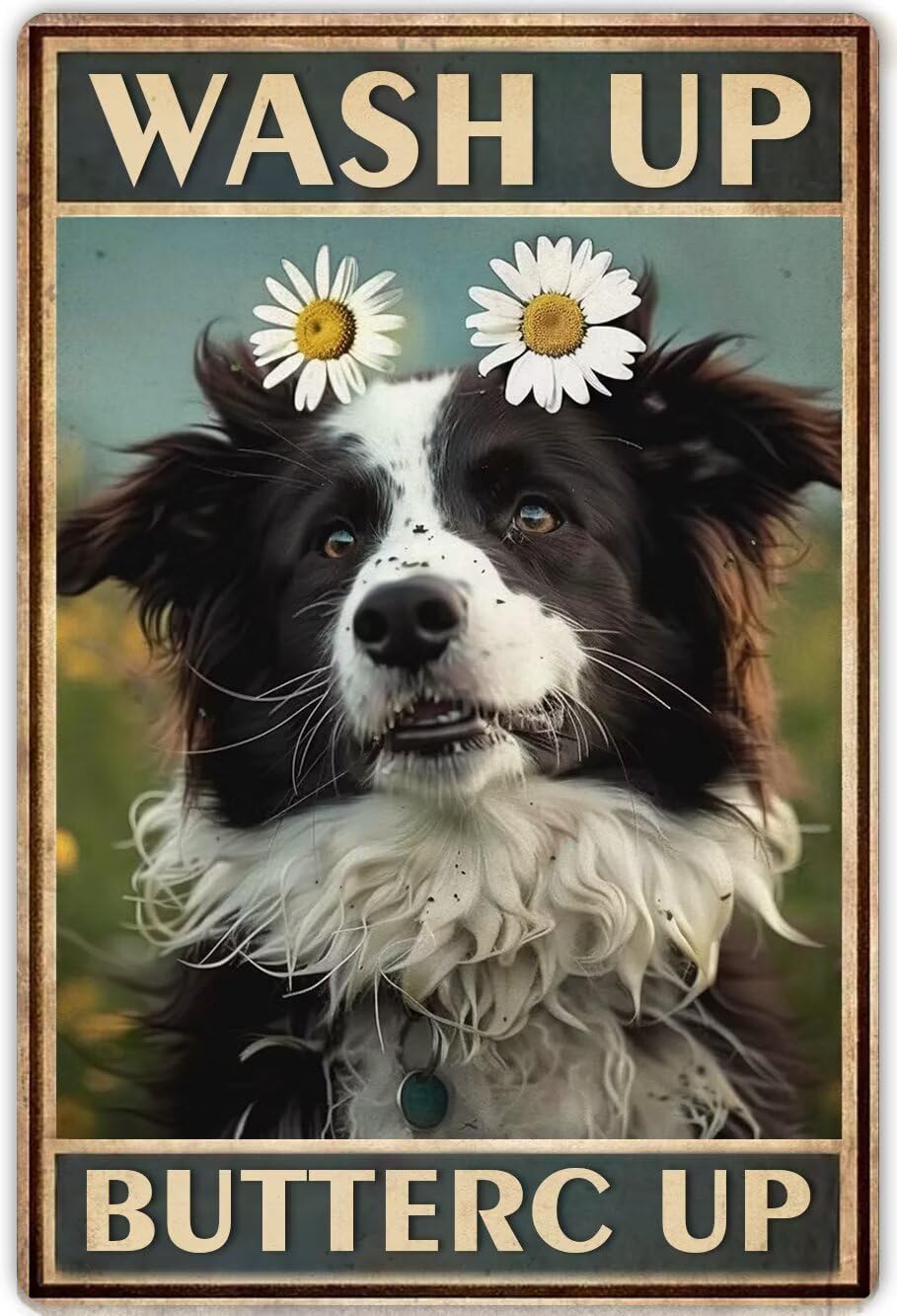 Anceky Border Collie Bathroom Wall Art Metal Poster Wash Up Buttercup Retro Metal Tin Signs Vintage Plaque Wall Decor For Home Kitchen Office Club Bar Gym Vintage Bathroom Decor 8x12 Inch
