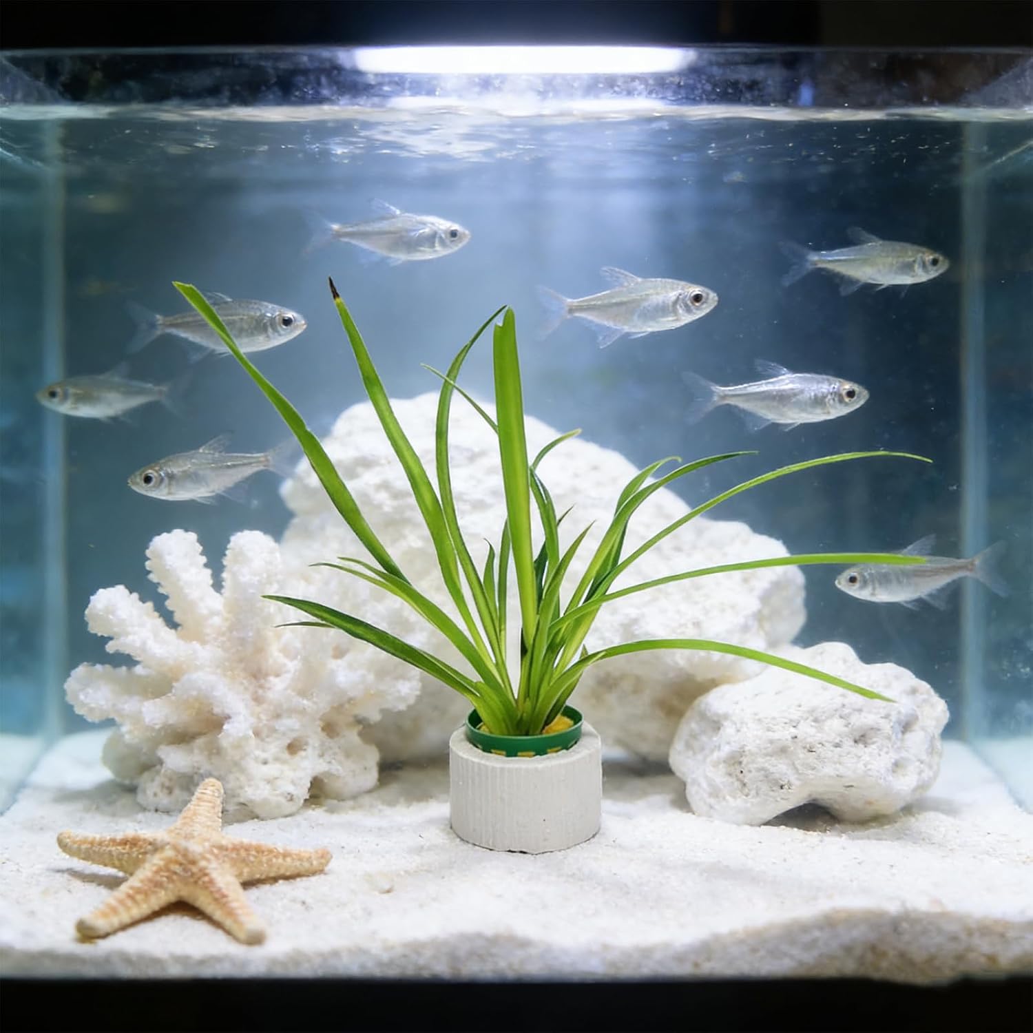 12 Set New Upgrade Aquarium Plant Weights, Anti-Floating Ceramic Water Grass Planting 3-Piece Set, Aquarium Landscape Decor for Fish Tank/Aquarium Accessories image 5