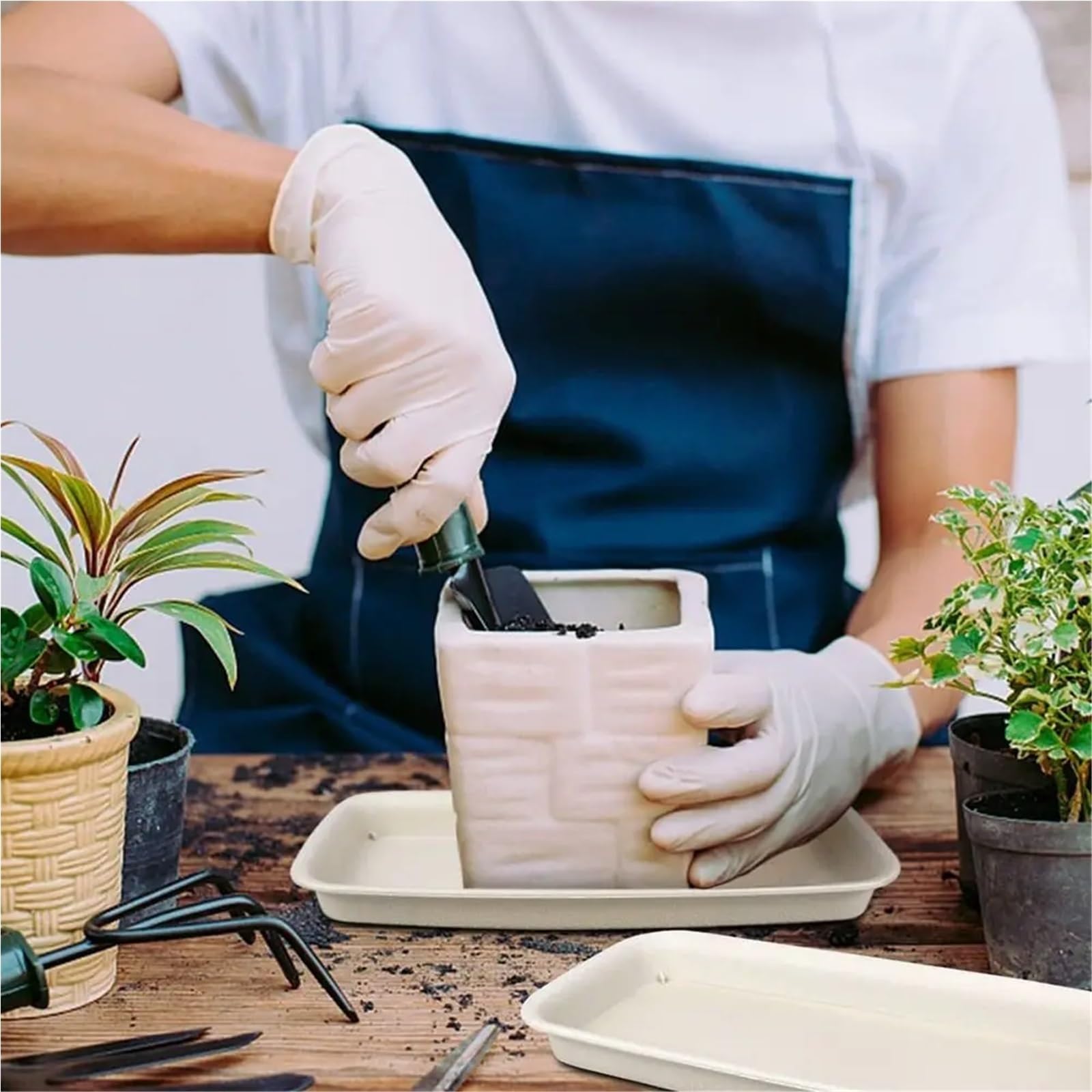 3Pcs Plant Saucer Drip Trays per Piante