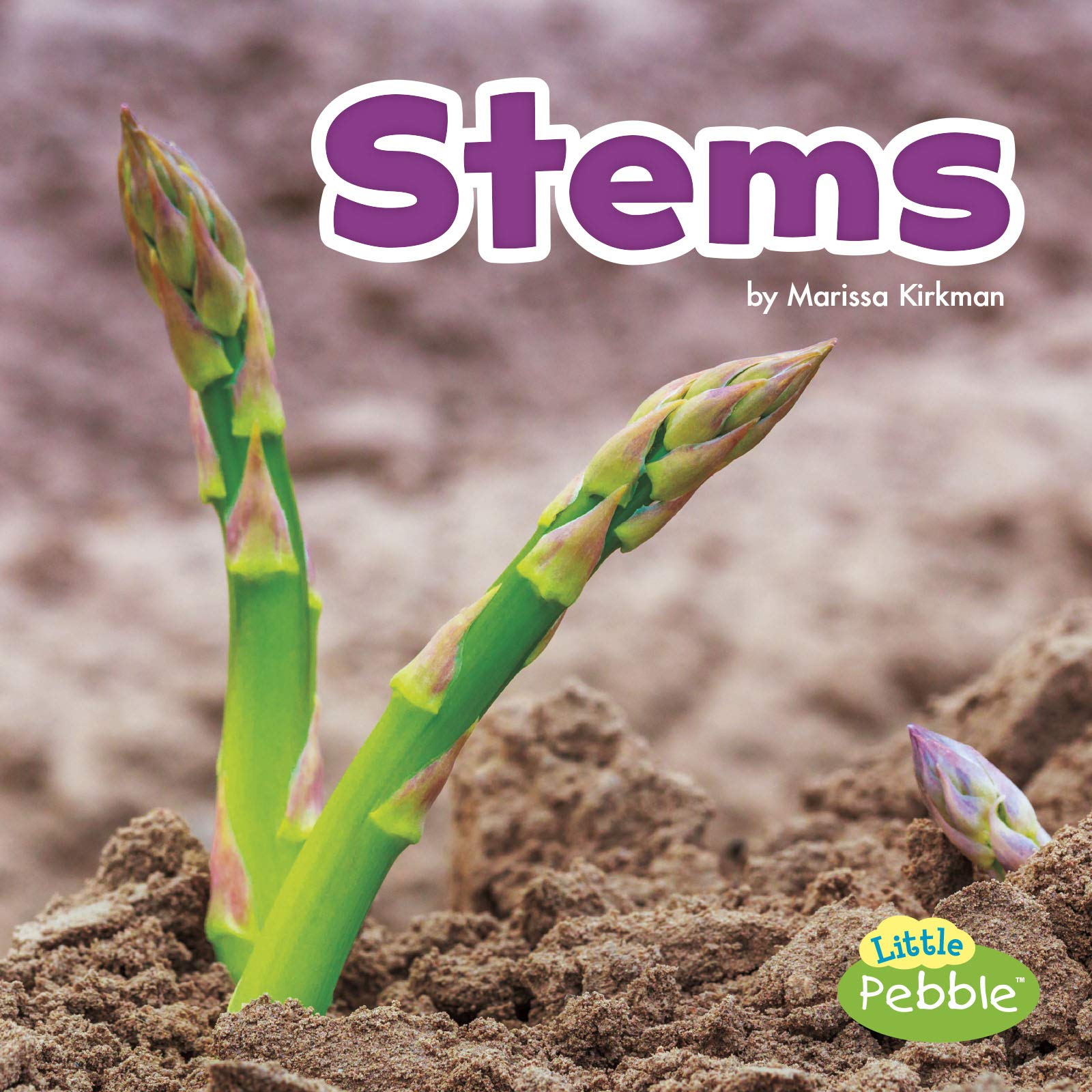 Stems (Plant Parts)