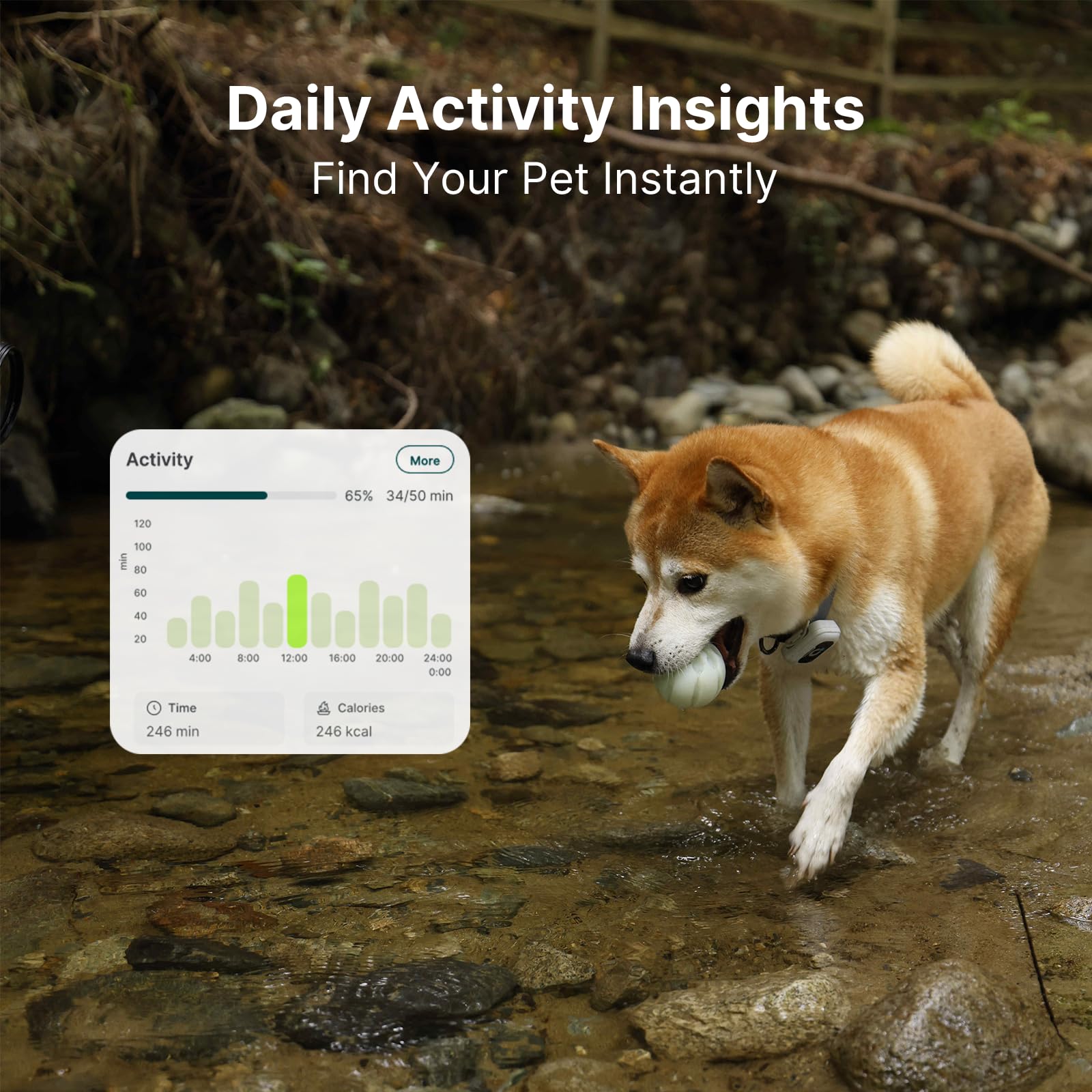 ABBIDOT GPS Tracker für Hunde - Echtzeit-Haustier-Tracker mit virtuellem Zaun, Aktivitätsmonitor, Standortverlauf, Fluchtwarnungen, 3-Modus-Nachtlicht, GPS-Hunde-Tracker mit Gesundheits- und