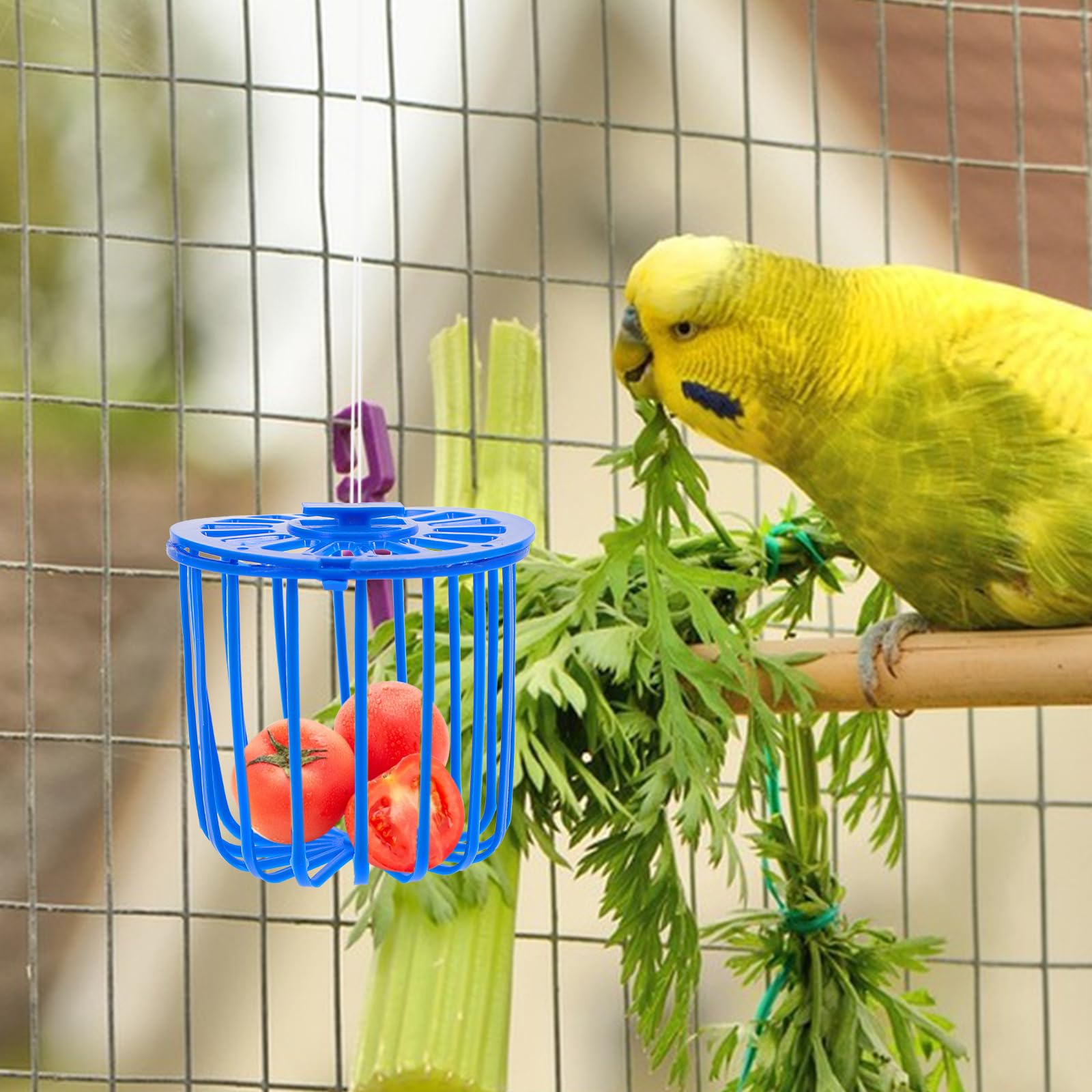 Mipcase Lot de 10 distributeurs de nourriture pour animaux domestiques - Accessoires pour animaux domestiques - Mangeoire à oiseaux - Mangeoire à légumes pour perroquet - Mangeoire à pinsons - Panier