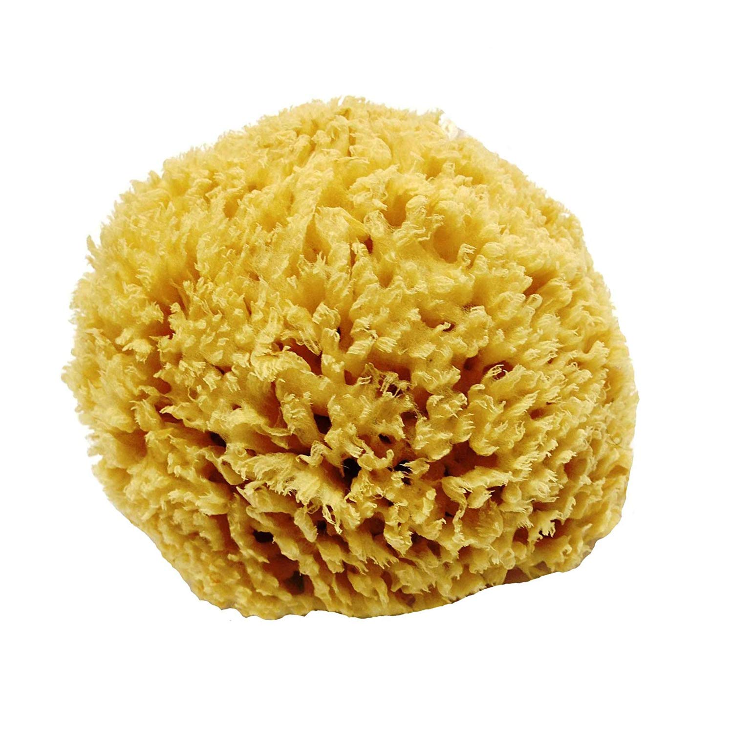 1 esponja de mar natural de panal sin blanquear para bebés, niños y adultos, resistente y duradera, hipoalergénica.