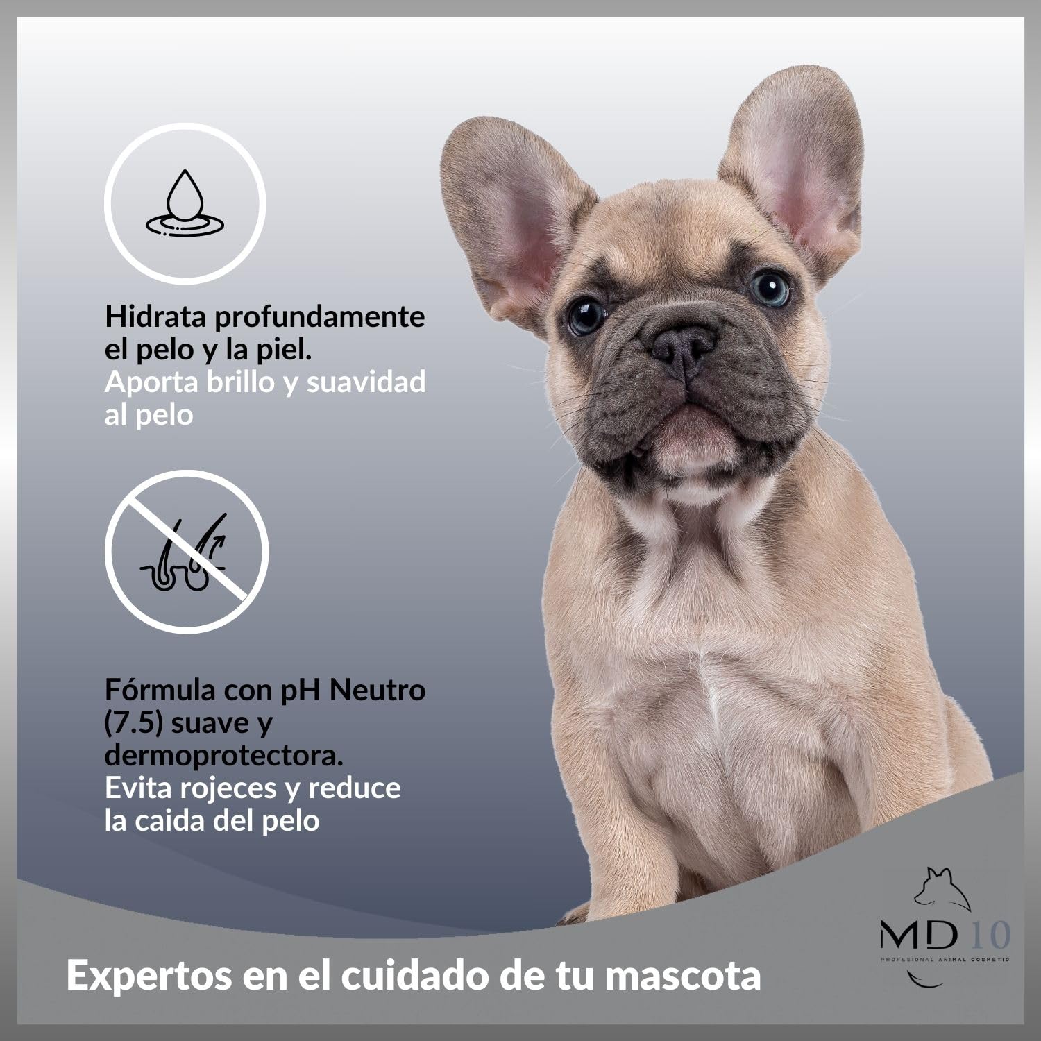 Champú para Bulldog Francés - Champú para Perros Hidratante y Dermoprotector con Vitamina D-Pantenol - Previene la Formación de Caspa - Vegano - Fabricado en España - 5 l - MD-10 COLLECTION