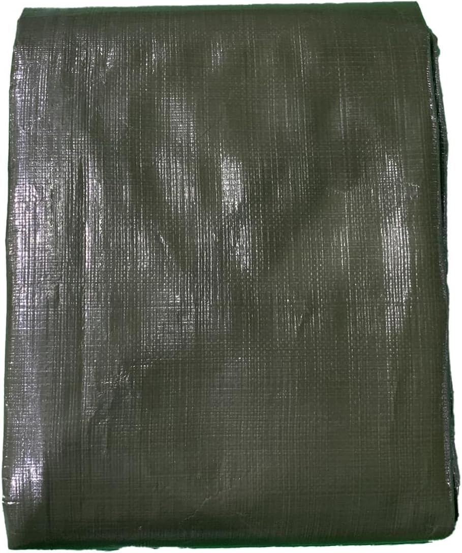 RoadPro Heavy-Duty Tarp RPHDTP102 10MIL 10FT x 12FT Cover UV-Resistant Tear-Resistant Reinforced Corners Canvas for Cargo Camping Landscaping Green