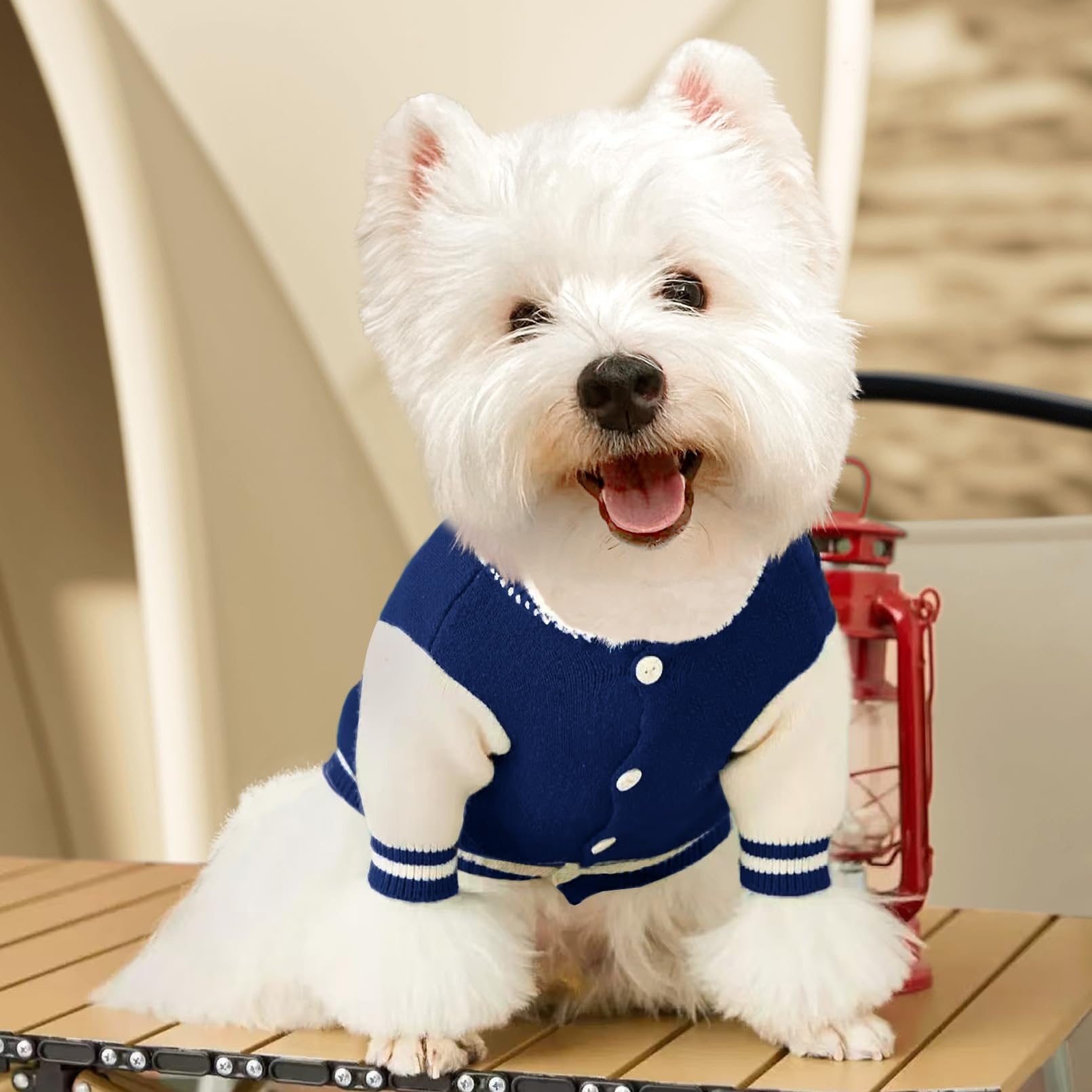 Kleiner Hundepullover, warmer Haustierpullover, niedlicher gestrickter klassischer Hundepullover für kleine Hunde, Katzenpullover, Hunde-Sweatshirt, Kleidung, Mantel, Bekleidung (M)