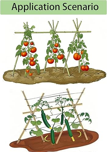 Miniatura 4 de 25 estacas de jardín de bambú de 4 pies con 100 lazos, estacas de bambú natural para tomates, pepino, uvas, judías, árboles, flores de dalia en