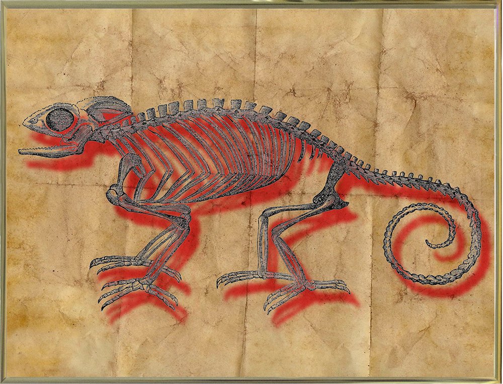 Frame USA MARJUL110313 Chameleon II Print by Marcus Jules, 12" x 15.75", Gold Metal Frame