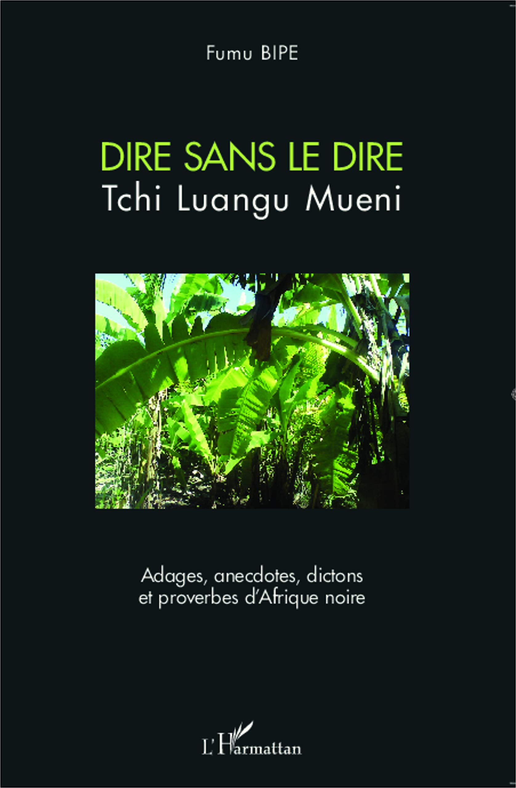 Dire sans le dire Tchi Luangu Mueni: Adages, anecdotes, dictons et proverbes d'Afrique noire (French Edition)
