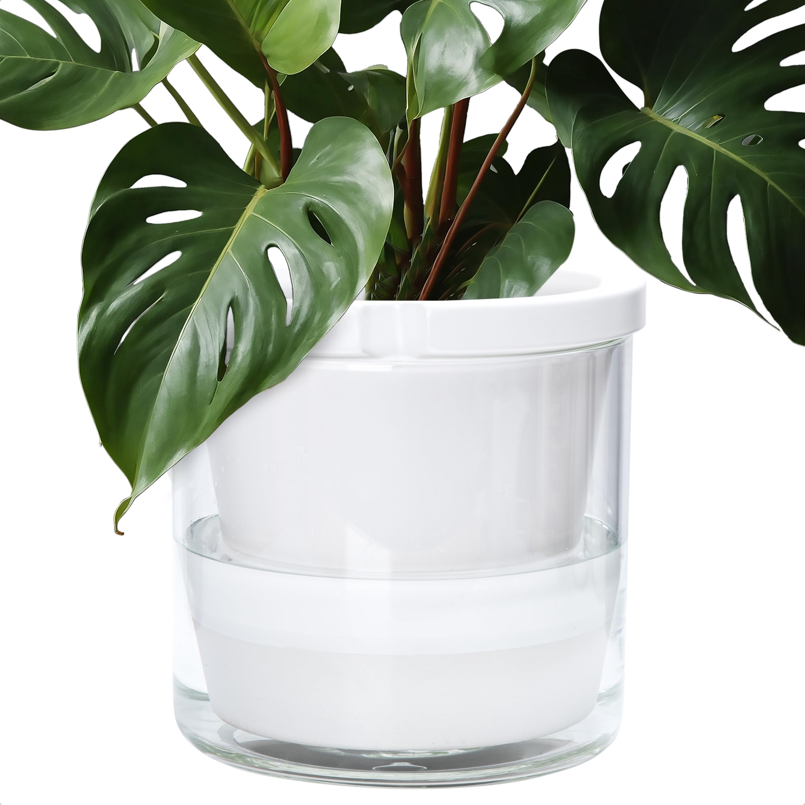 D'vine Dev 10 Inch Design Self Watering Planter for Indoor Plants, White Terracotta Pots with Cylinder Glass Cup, 37-X-D-2