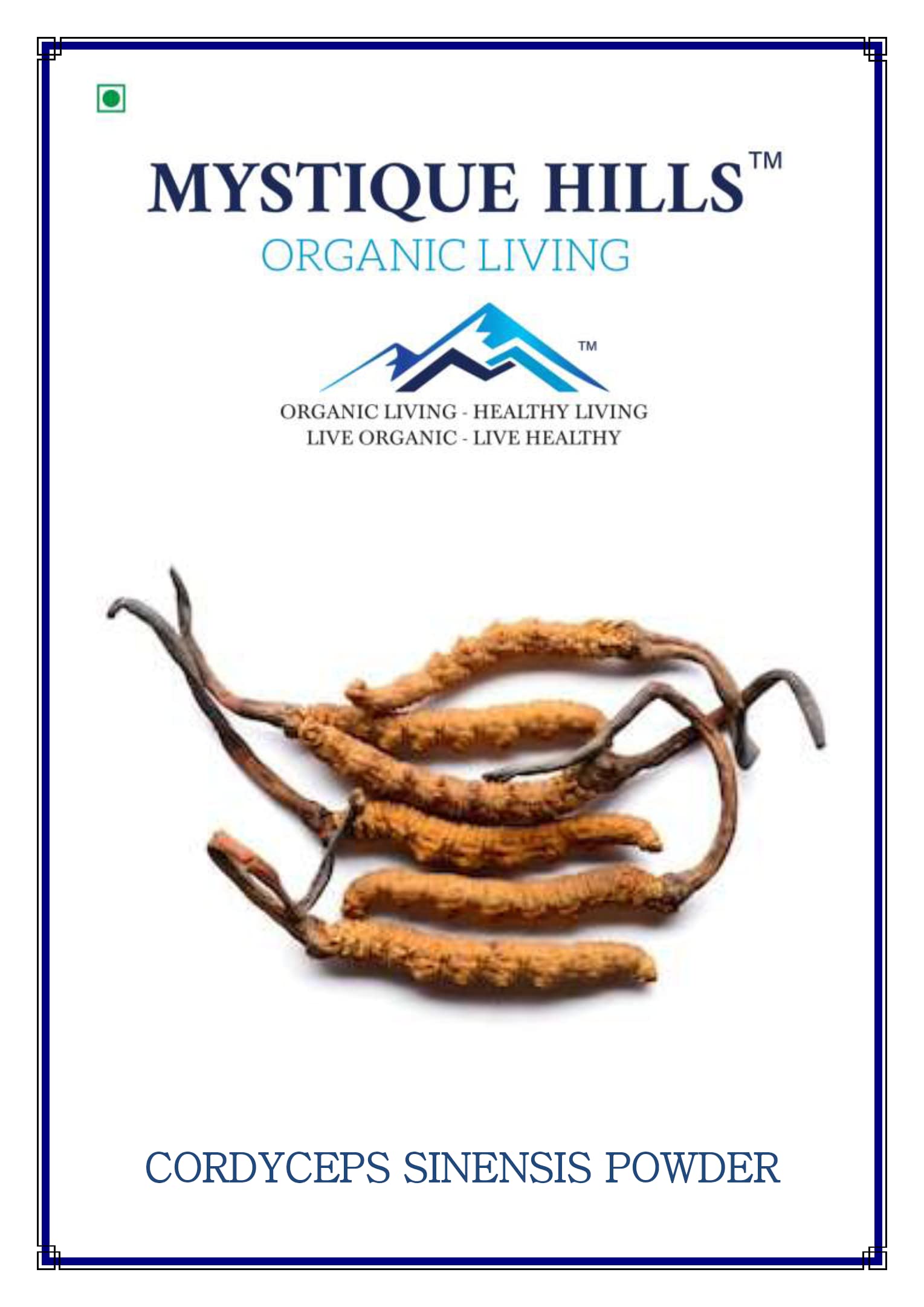 Mystique Cordyceps sinensis Powder (Caterpillar Fungus) Ophiocordyceps sinensis Mushroom (100 g)