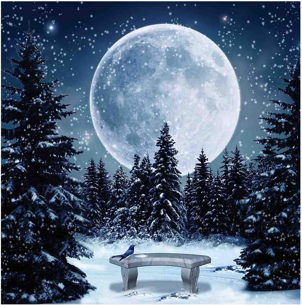OWN4B DIY 5D Diamond Painting by Numbers Kits, Moon Trees Snow Bird Starry Nigth, Full Drill Rhinestones Paint with Diamonds Crystal Diamond Art (Moon)
