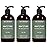 Muse Apothecary Hand Ritual - Botanical Collection - Aromatic and Nourishing Hand Soap, Infused with Natural Aromatherapy Essential Oils - 16 oz, Warm Cedar, Pack of 3