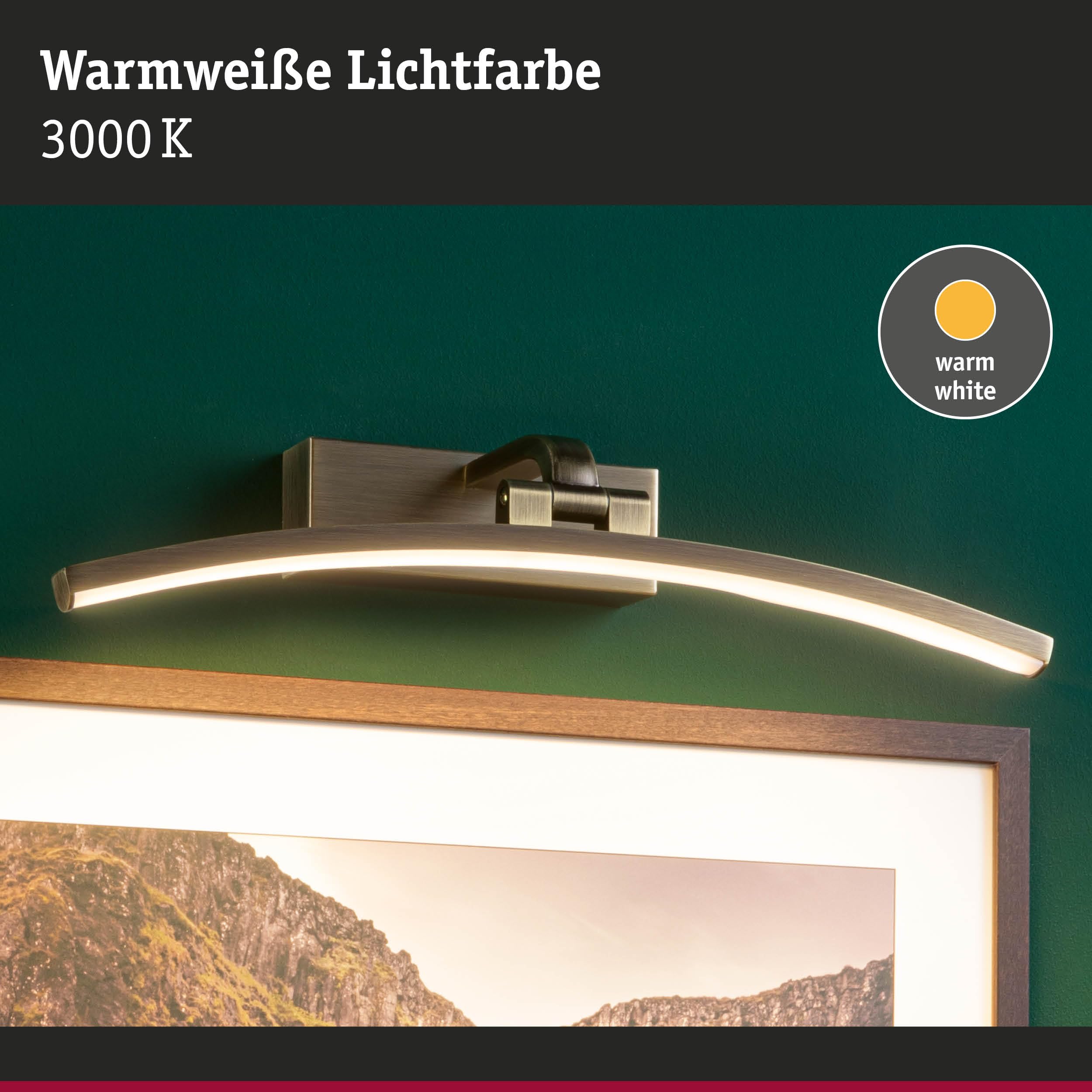 Paulmann 95560 LED éclairage de tableau Bento 400 mm incl. 1x8,5 W Blanc chaud Laiton patiné éclairage de tableau Métal synthétique lampe murale 3000K
