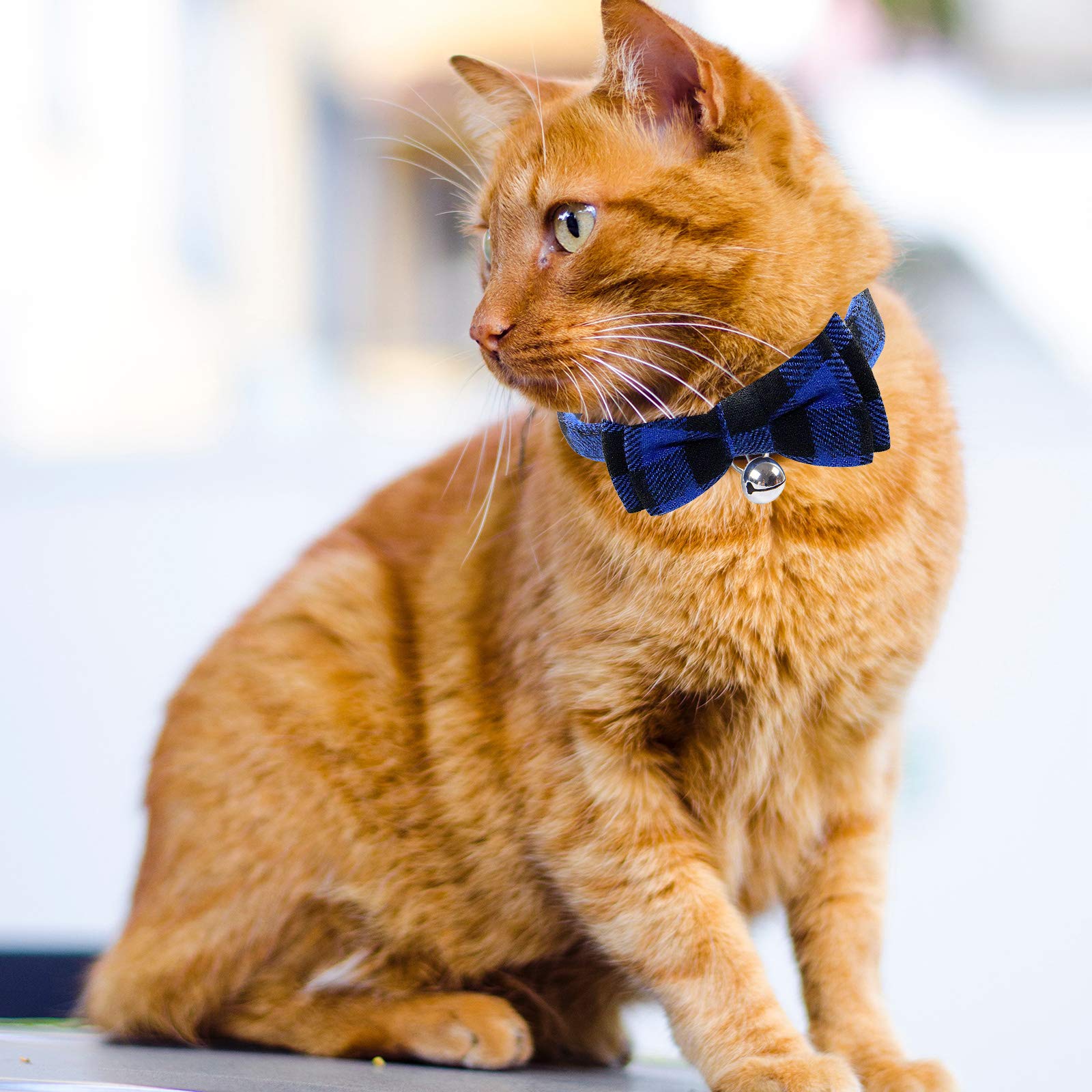 Blaues kariertes Katzenhalsband, Schnellverschluss, Kätzchen-Halsband, Fliege, Sicherheits-Halsband, mit Glöckchen, weiches Schottenkaro-Halsband, verstellbar, für Kätzchen, Welpen, kleine Haustiere