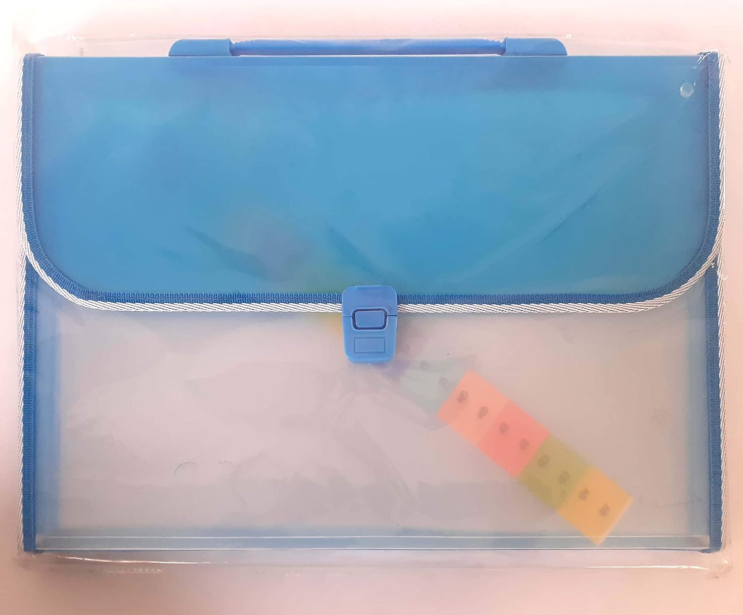 Newedge Harmonium File, A4 Size, 13 Folder, Blue Amazon.in Office