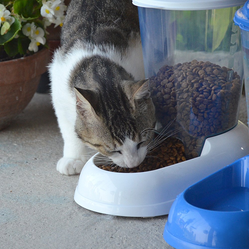 Ferplast Distributore d'acqua per cani e gatti NADIR Drinker 3 Litri per cani di piccola e media taglia, Fondo antiscivolo, 29,2 x 20,2 x h 28,8 cm Bianco