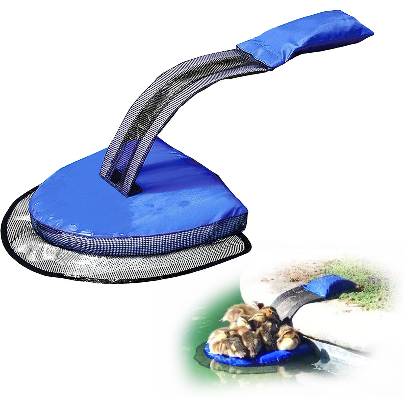XiXiRan Piscina Inflable Rampa de Escape, Rampa de Rescate de Animales, Rampa Escape Animales Piscina, Red Escape para Piscina Rescate, Rescate Rana Pato Ardilla Listada Otros Animales