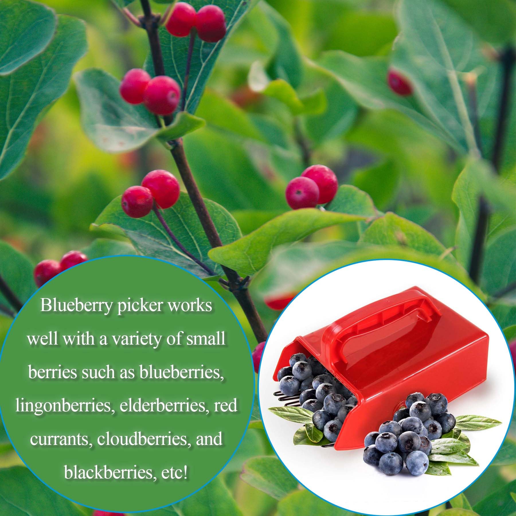 Handheld Berry Harvester With Metal Comb Ergonomic Handle Berry Picker ...