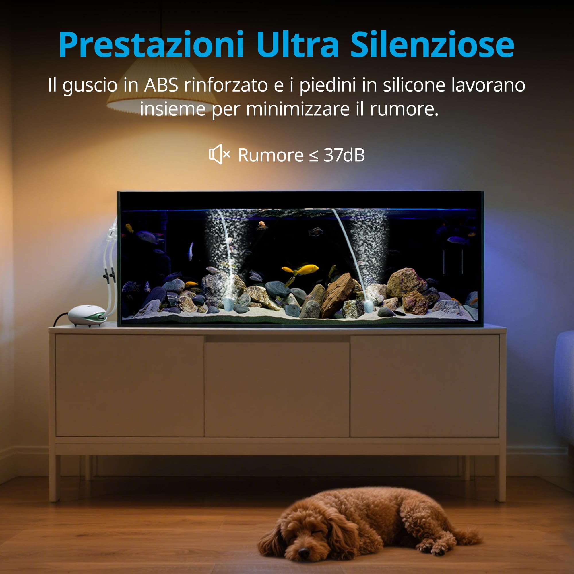 NICREW Ossigenatore per Acquario Ultra Silenzioso fino a 400 L con Flusso Regolabile, Pompa d'Aria per Acquario <37 dB Dotata di Tubo dell'Aria, Pietra e Valvola di Non Ritorno
