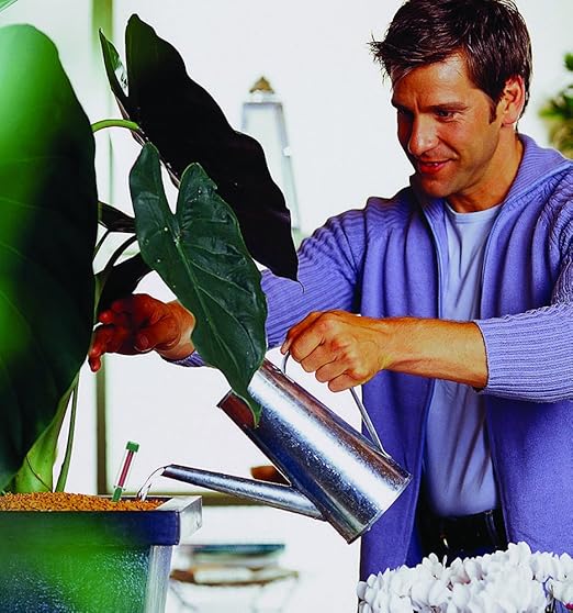 Amazon Seramis セラミス 室内観葉植物用液体肥料 0ml 室内園芸 室内ガーデニング 観葉植物 肥料 土壌改良剤