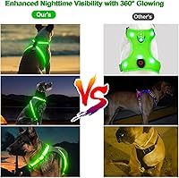 Vista 1 de Visinite Arnés LED para perro, chaleco de perro con luz recargable por USB, 2 modos de iluminación arnés para perro que brilla en la oscuridad, Verde