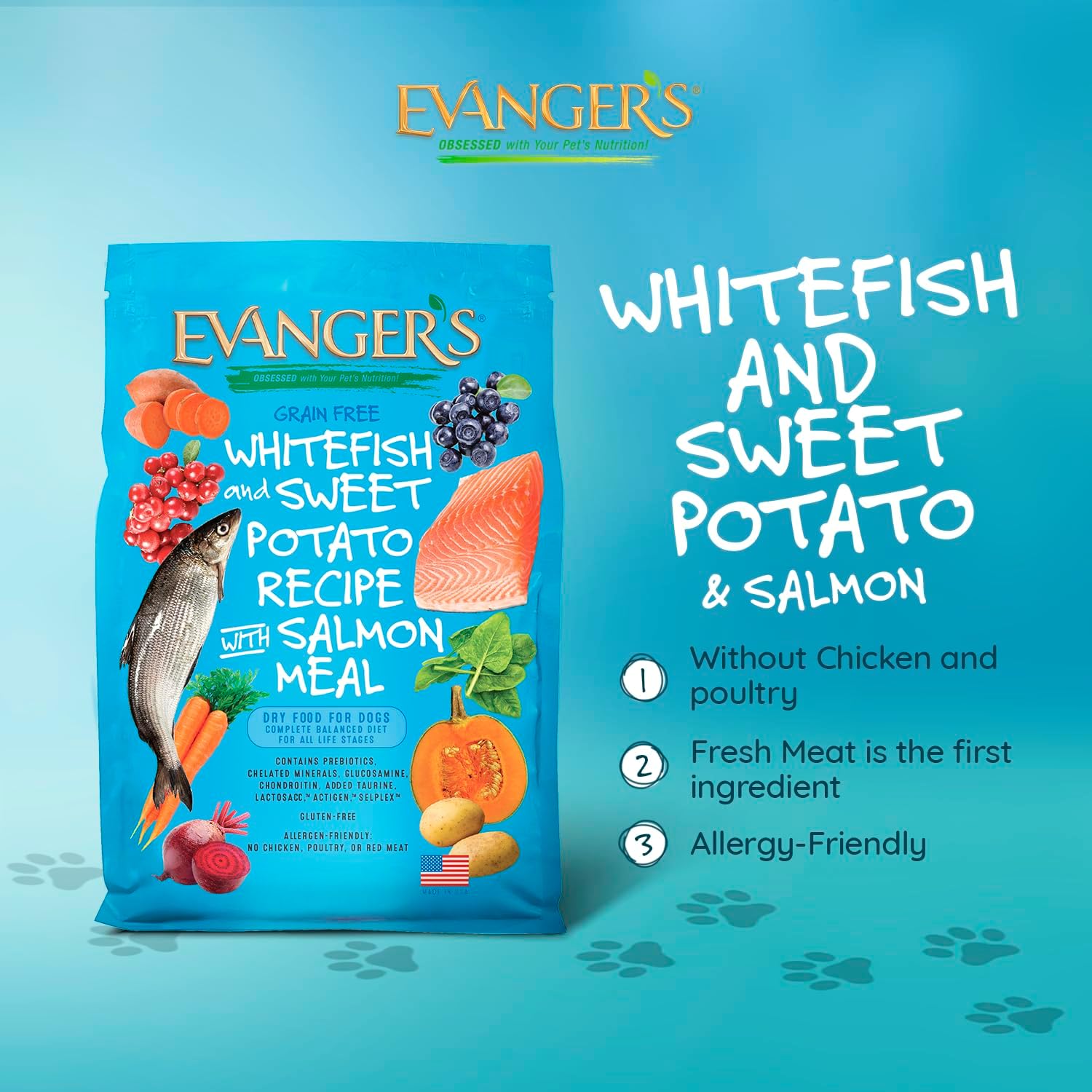 Evanger's Grain Free Whitefish and Sweet Potato Recipe with Salmon Meal Dry Food for Dogs – 16.5 lb – Chicken & Poultry Free, Prebiotics, Coconut Oil, All Life Stages