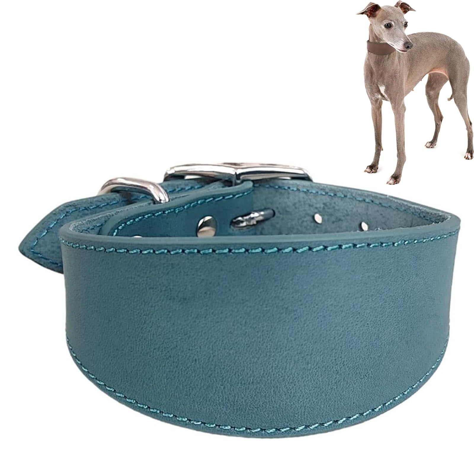 Wide Padded Leather Dog Collar for Italian Greyhound & Whippet, Adjustable Soft Pet Collar with Heavy Duty D-Ring for Daily Walking & Outdoor Use(Blue,L)