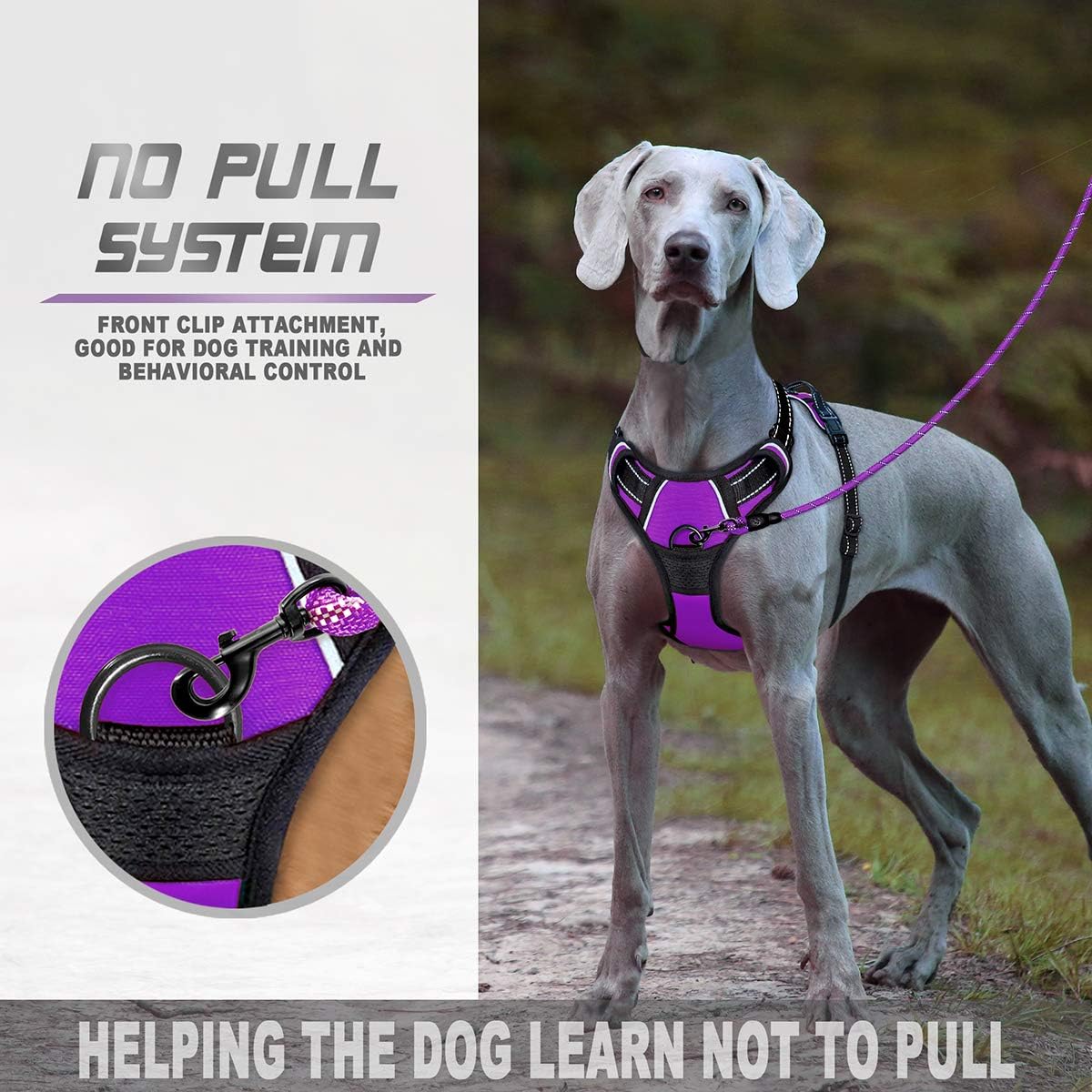 BARKBAY Dog Harness No-Pull Pet Harness Adjustable Outdoor Pet Vest 3M Reflective Oxford Material Vest for Dogs Easy Control for Small Medium Large Dogs(Purple,XL) - Image 4