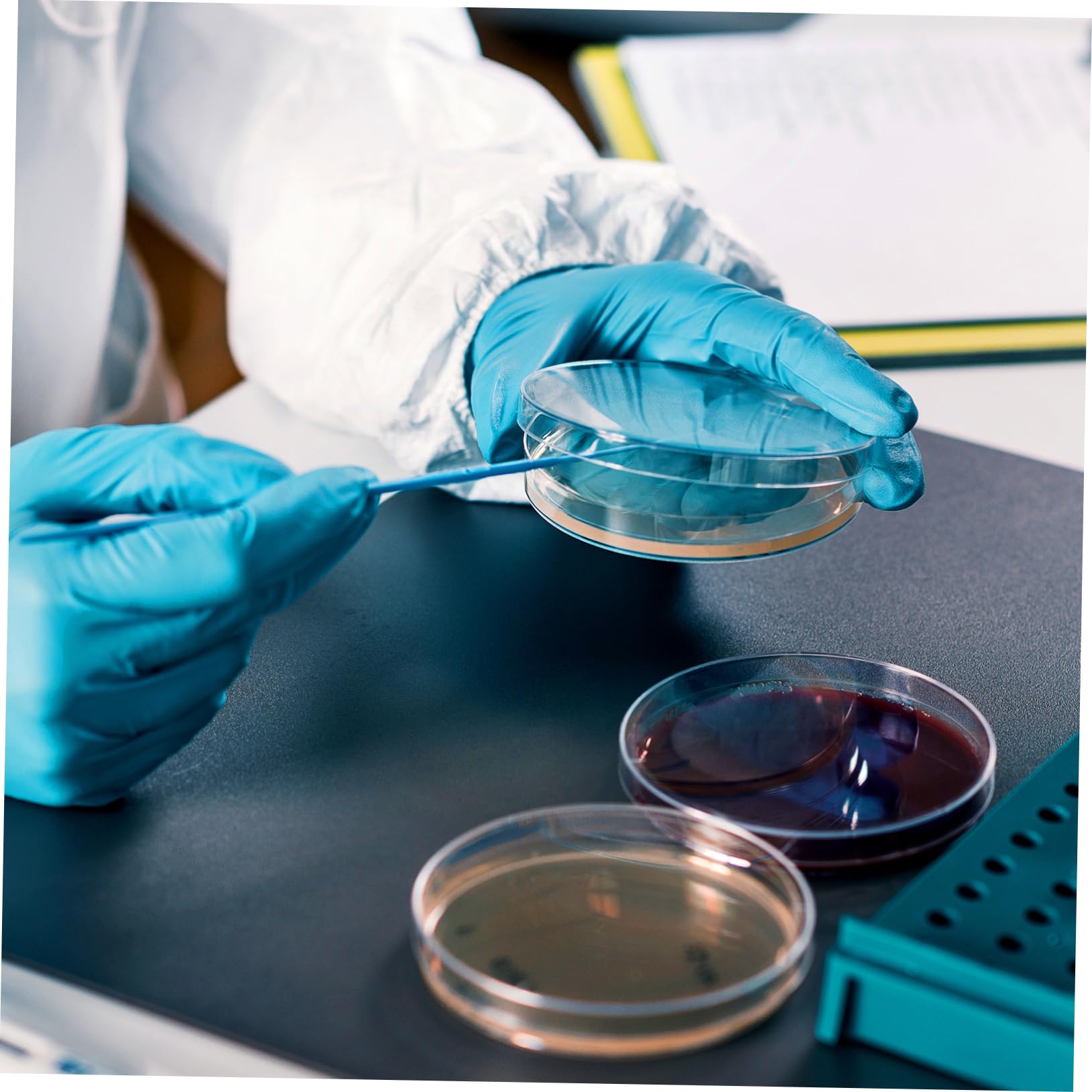 Anneome 20 Placas de Agar Prevertidas de 7cm para Cultivo y Experimentos Científicos, Listas para Usar, Fáciles de Transportar