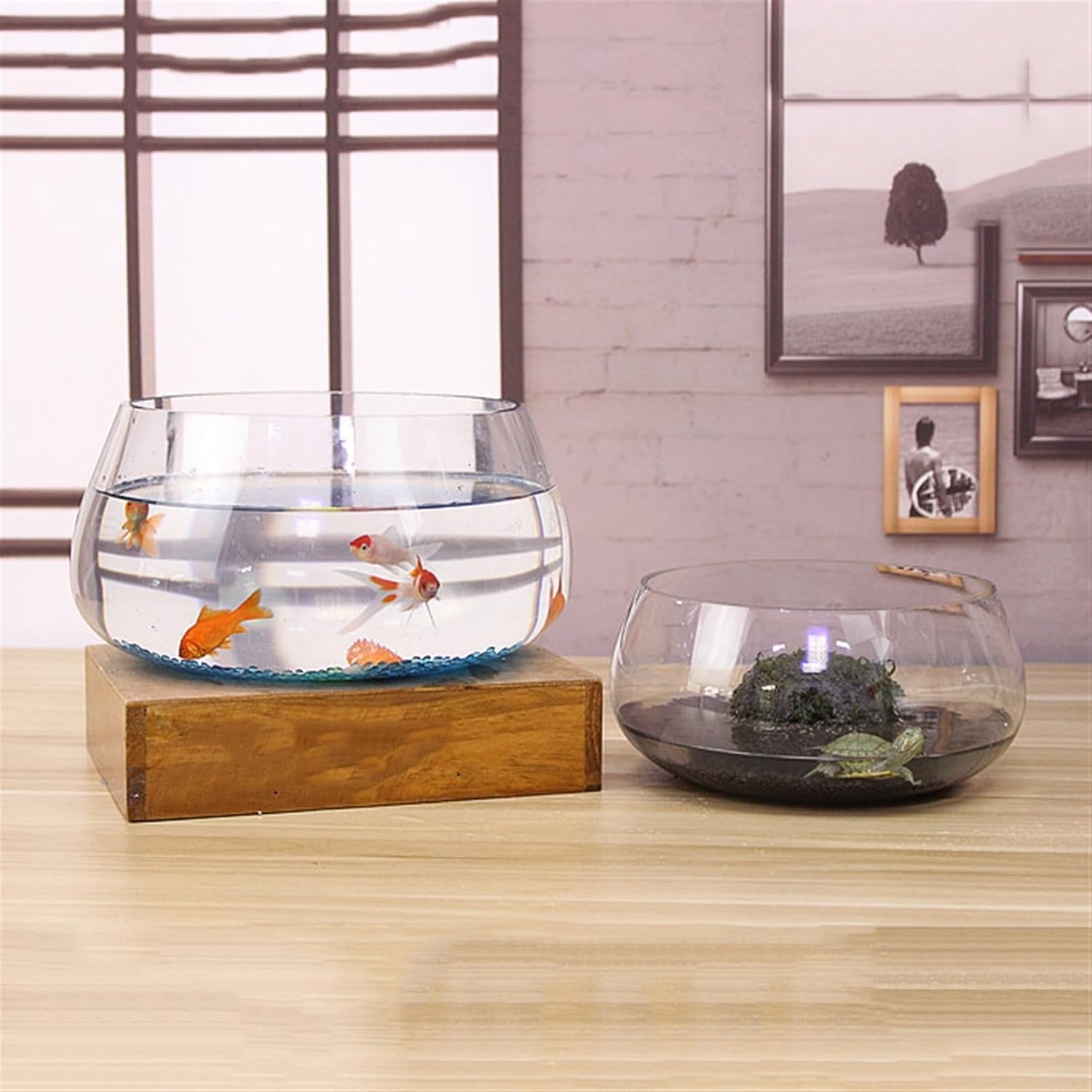 GRFIT Aquarium Glass Round Fish Tank, Small Ecological Tank for Home, Transparent Aquarium, Desk, Turtle Water Tank for Home, Planting Fish Aquarium(Small)