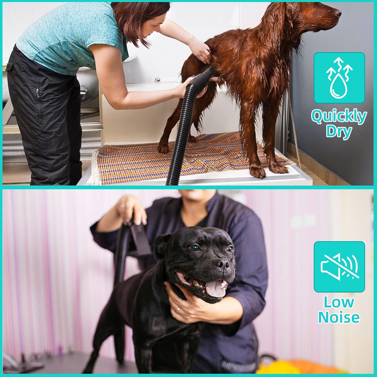 Are Blow Dryers Bad For Dogs