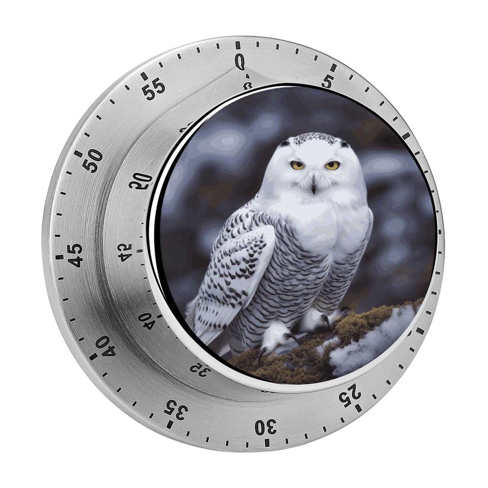 Arctic Owl Visual Timer with Loud Alarm 60-Minute Kitchen Timers Exquisite Stainless Steel Body - Mechanical Desk Timer Countdown Clock for Cooking Chef Clock