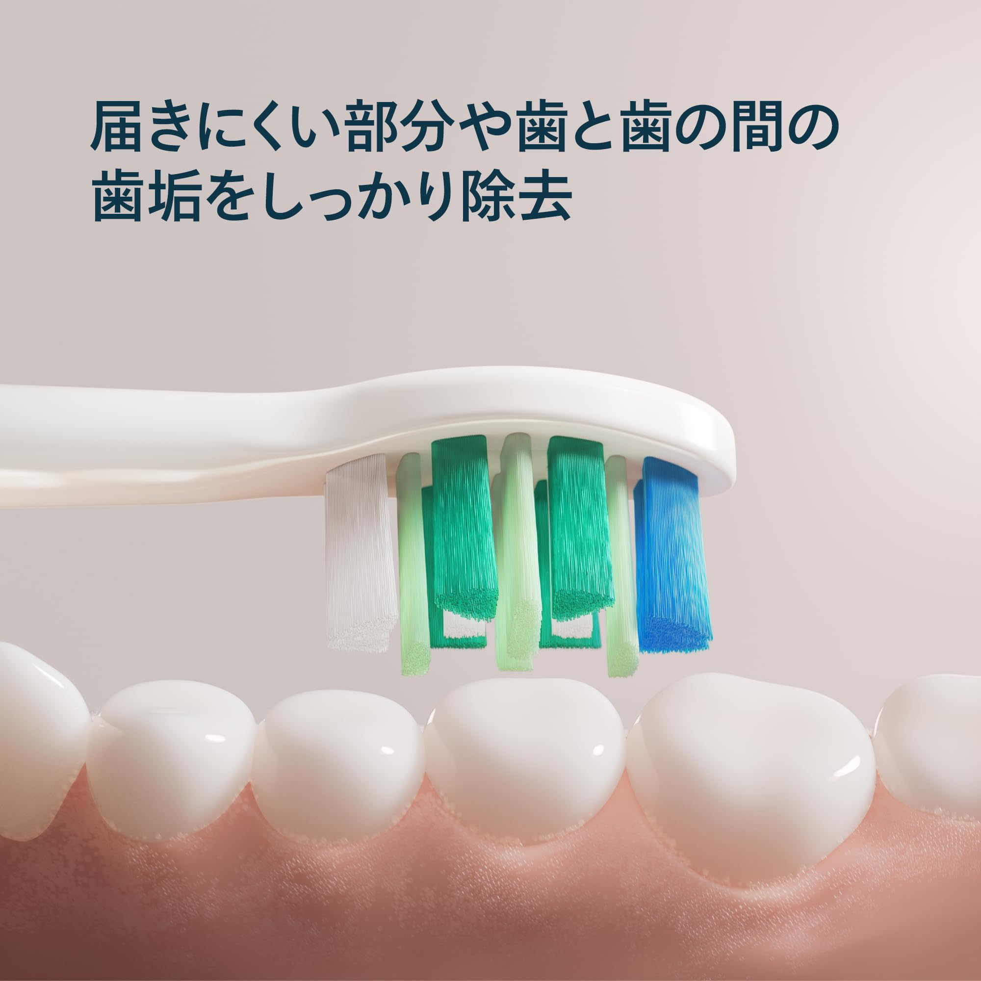 Amazon.co.jp: 【2026年モデル・エントリー】フィリップス 電動
