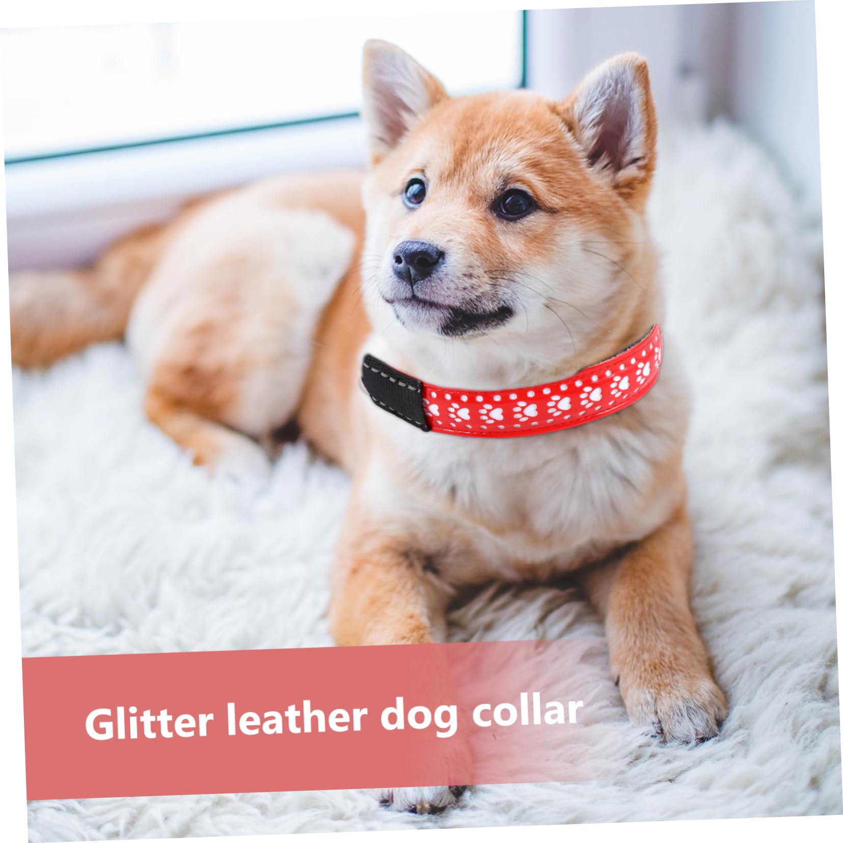 Milisten 3pièces Collier LED pour Animaux De Compagnie Et Lumineux pour Chiens Et Chats avec Trois Modes Éclairage PU