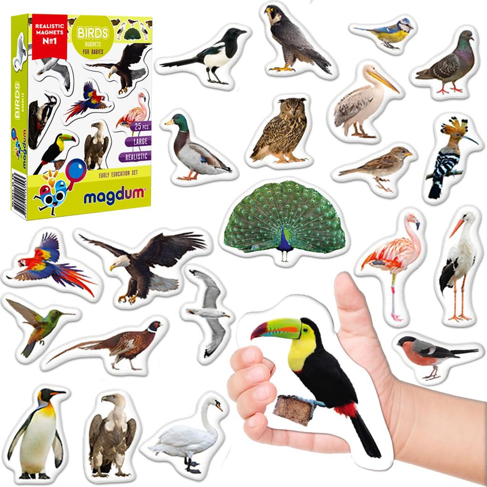 Magdum Multicolor Fridge Magnets For Kids - Realistic Birds Magnets (25 Pcs) - Large Magnets For Toddlers - Educational Toy For Preschoolers - Montessori Learning Toys - Magnetic Play Set - Gift For Kids