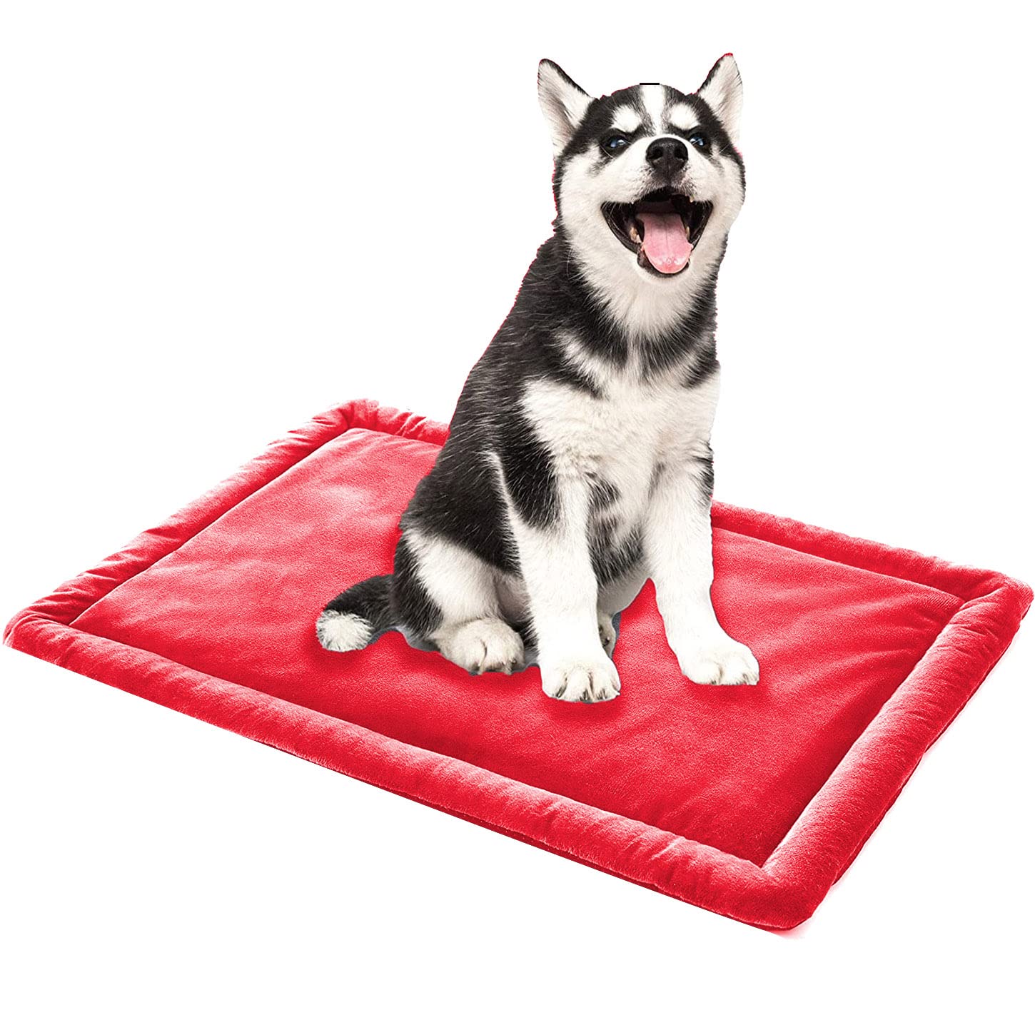 Plüsch-Hundebett Weich & Kuschelig – Waschbare Matratze In Größe M Für Hunde & Katzen