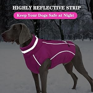 Doglay Waterproof Dog Coat, Reflective Dog Winter Jacket with Pocket & Turtleneck, Warm Puppy Snow Jacket for Small Medium Large Dogs - Pink, M