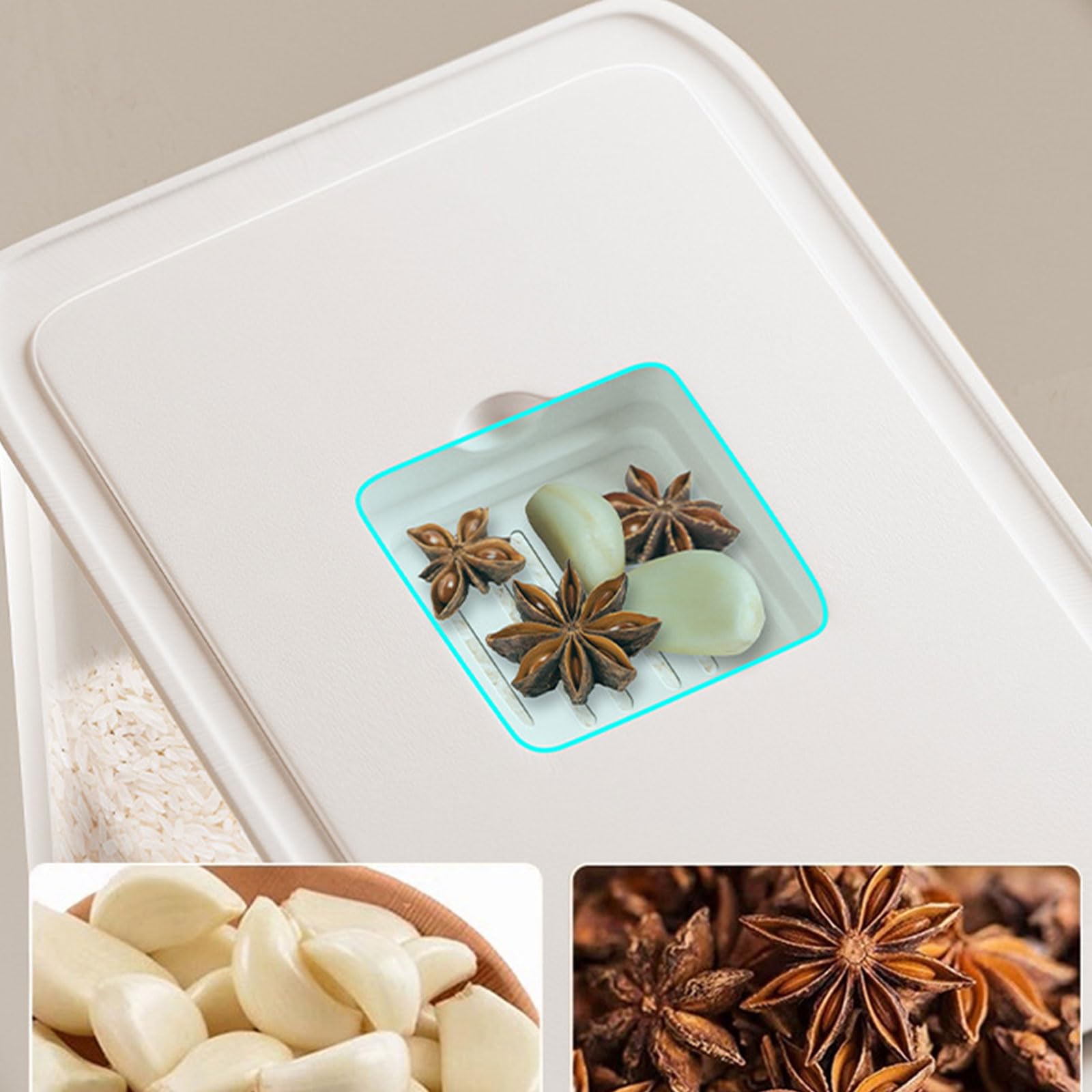 Scatola Stoccaggio Cereali in Plastica Decorazione da Cucina Limpida per La Decorazione Pressata per La Casa E Ristorante Utilizzare Un Ristorante Bianco