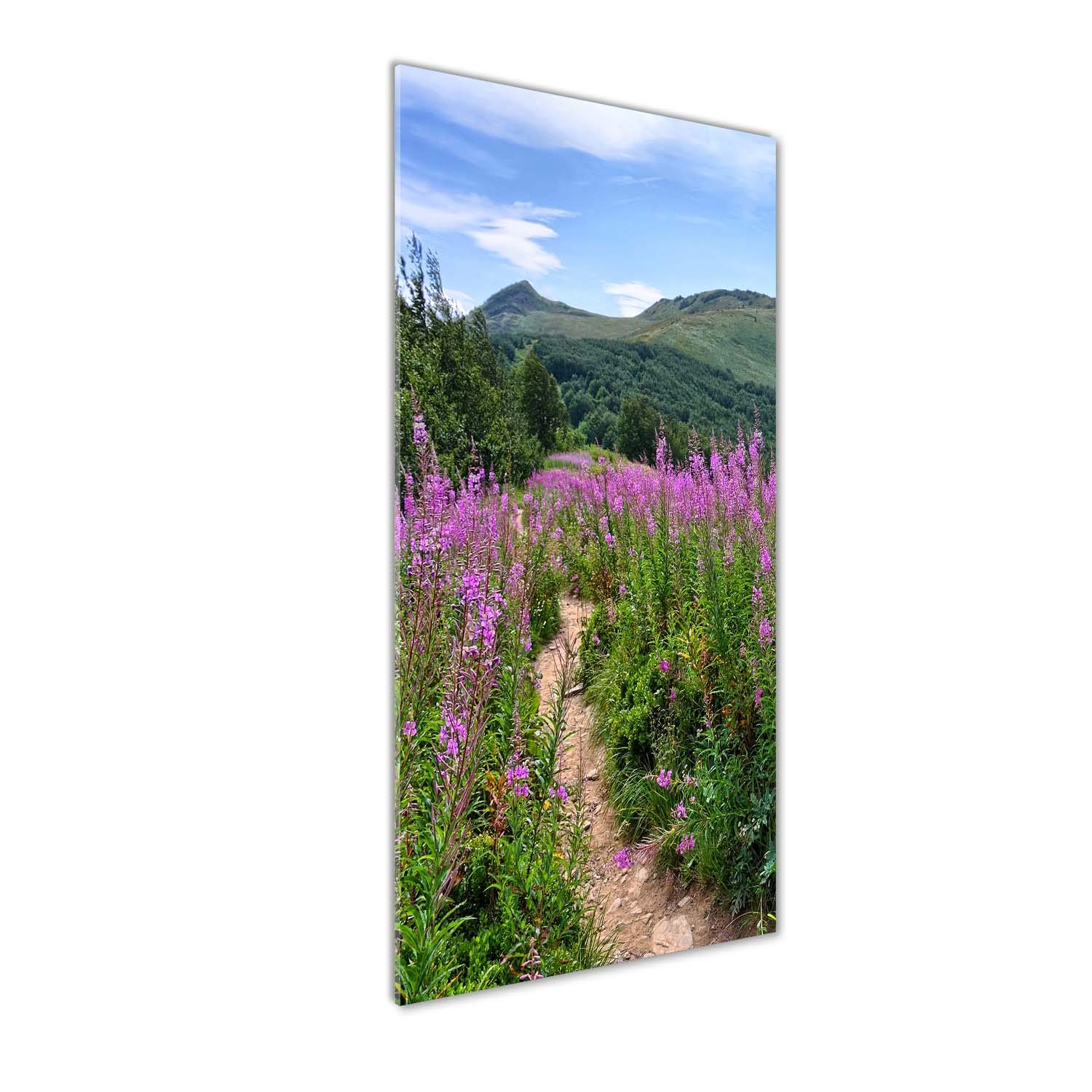 Mural art en verre acrylique Tulup pour transformer un mur vide paysage 50x125