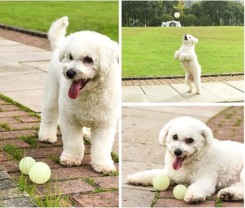 Miniatura 6 de Vitalili 2 bolas de goma brillantes para perros, bolas de juguete para agua, pelota de entrenamiento para perros de alto rebote resistente a las