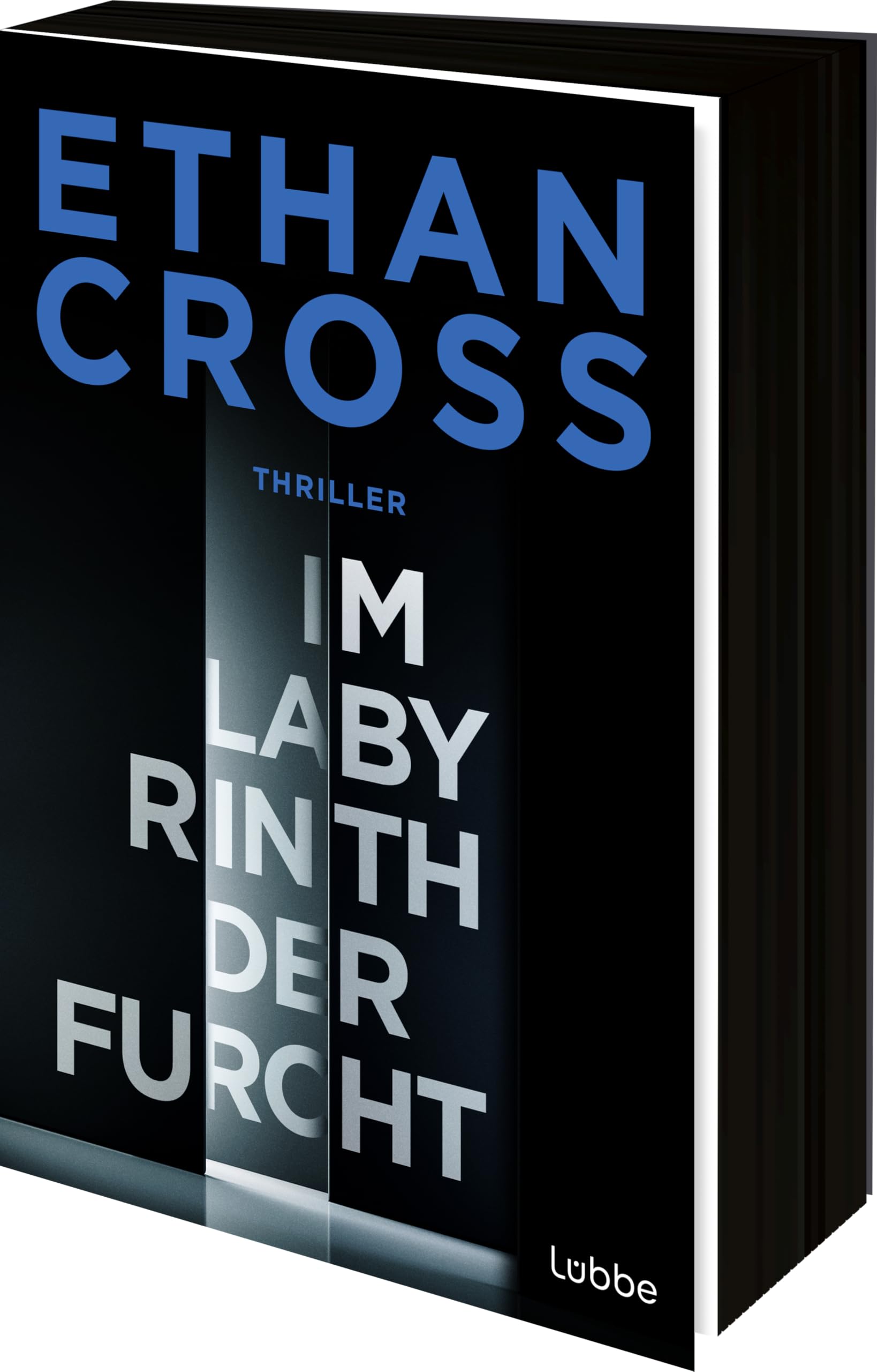 Im Labyrinth der Furcht: Thriller. Ein neuer Francis-Ackerman-jr-Thriller vom Bestseller-Autor